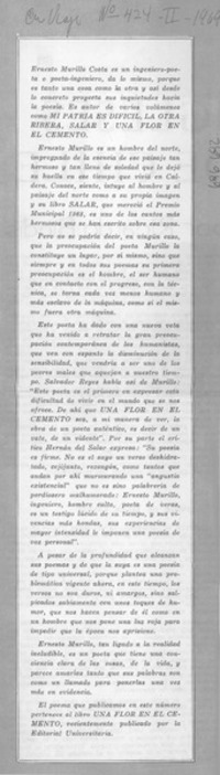 Mi patria es dificil, la otra ribera, salar y una flor en el cemento.