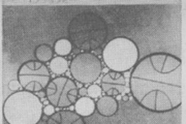 Nuevo libro del entrenador y profesor Héctor Oreste C.