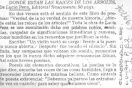 Donde están las raíces de los árboles.