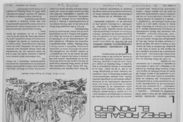 Pérez Rosales, el pionero.