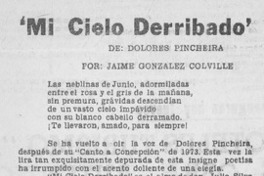 Mi cielo derribado"