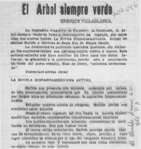 El árbol siempre verde