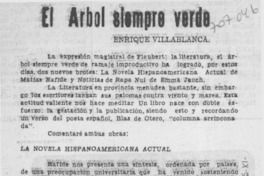 El árbol siempre verde