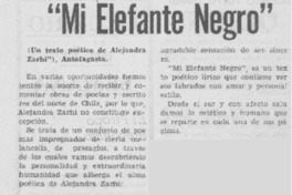 Mi elefante negro"