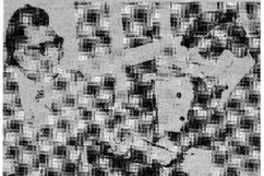 Entre la rosa y el ángel.