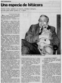 Las ventanas del laberinto