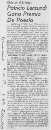 Patricio Lerzundi gana Premio de Poesía.