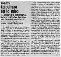 La cultura en la mira