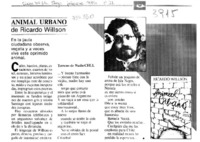 Animal urbano.