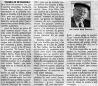 Flores de mi pradera"