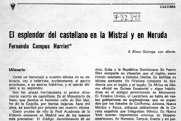 La gringa loca que cultiva malezas" [entrevistas]