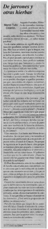 De jarrones y otras hierbas