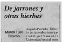 De jarrones y otras hierbas