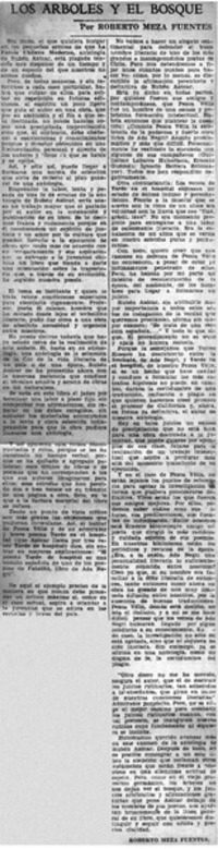 Los árboles y el bosque