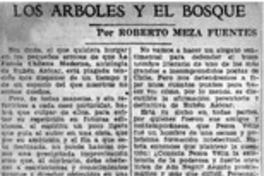 Los árboles y el bosque