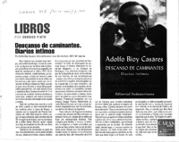 Descanso de caminantes, diarios íntimos