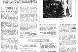 Walt Whitman, elevó y democratizó la poesía de EE.UU.