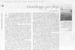 Monólogo perplejo