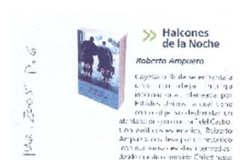 Halcones de la noche