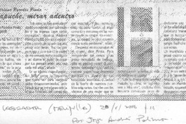 Ver mapuche, mirar adentro