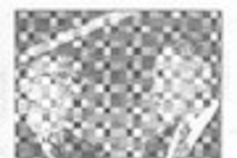 Talca nombra hijo ilustre a Guillermo Blanco