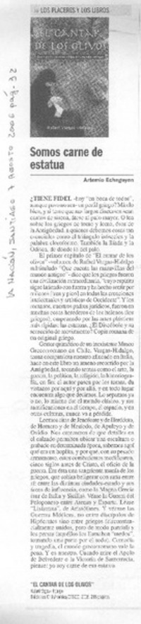 Somos carne de estatua