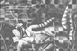 Fraguar la identidad