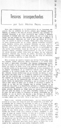 Tesoros insospechados  [artículo] Luis Merino Reyes.