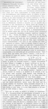 Domingo de pájaros"