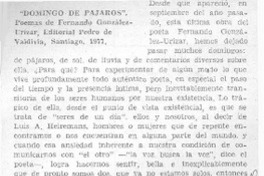 Domingo de pájaros"