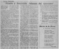 Pineda y Bascuñán, defensor del araucano