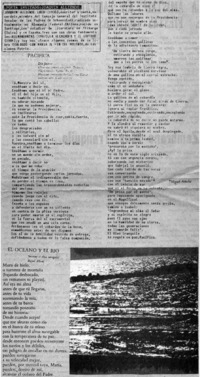 Poeta invitado: Joaquín Alliende.