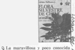 La Maravillosa y poco conocida naturaleza de nuestro país--