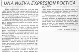 Una Nueva expresión poética.