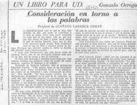 Consideraciones en torno a las palabras