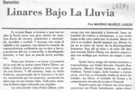 Linares bajo la lluvia