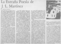 La extraña poesía de J. L. Martínez