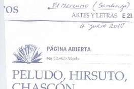 Peludo, hirsuto, chascón