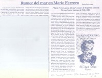 Rumor del mar en Mario Ferrero
