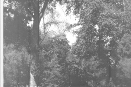 Pablo, que estás en la tierra (entrevistas) [artículo] Fortuño, Sergio