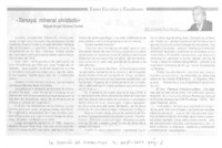 Tamaya, mineral olvidado  [artículo] Fernando Rojas Clavería.