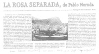 La rosa separada, de Pablo Neruda.  [artículo] Edgardo Alarcón Romero.