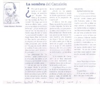 La sombra del camaleón  [artículo] Jorge Abasolo Aravena.