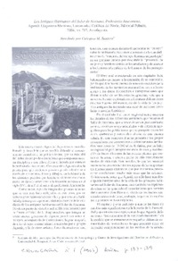 Los antiguos habitantes del Salar de Atacama  [artículo] Calogero Santoro.