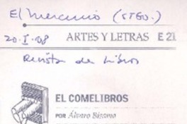 Ráfagas de Pitol  [artículo] Alvaro Bisama.