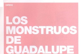 Los monstruos de Guadalupe (entrevista)  [artículo] Gonzalo Maier.