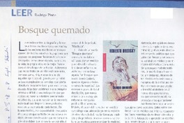 Bosque quemado  [artículo] Rodrigo Pinto.