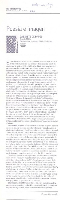 Poesía e imagen  [artículo] Pedro Gandolfo.