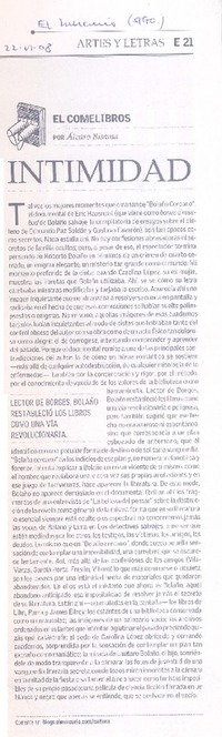 Intimidad  [artículo] Alvaro Bisama.