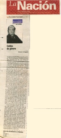 Caldos de género  [artículo] Artemio Echegoyen.